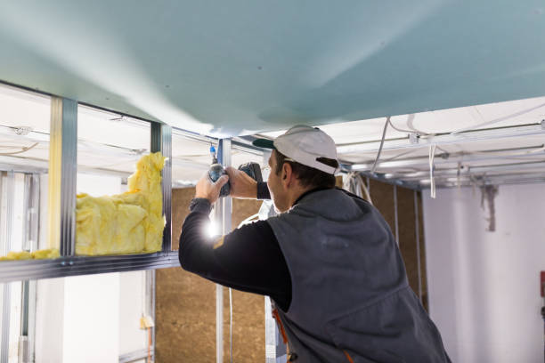 Best Geographic-Specific Insulation Services in Carson City, NV