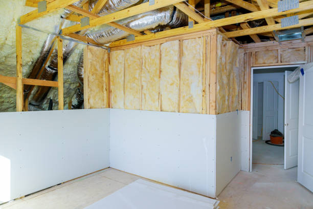 Best Residential Insulation in Carson City, NV