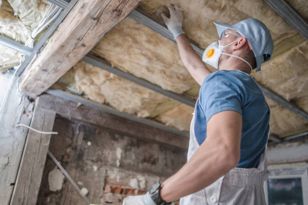 Best DIY Insulation Kits and Guidance in Carson City, NV