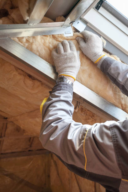 Best Commercial Insulation in Carson City, NV