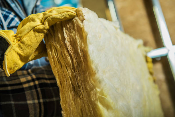 Best Cellulose Insulation in Carson City, NV
