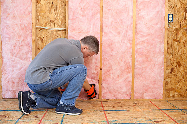 Best Energy Efficiency Insulation in Carson City, NV