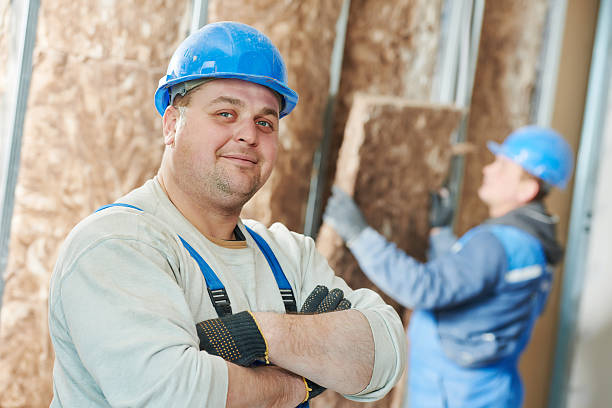 Types of Insulation We Offer in Carson City, NV