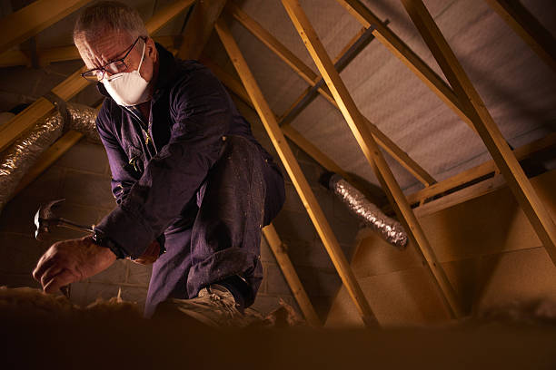 Best Eco-Friendly Insulation in Carson City, NV